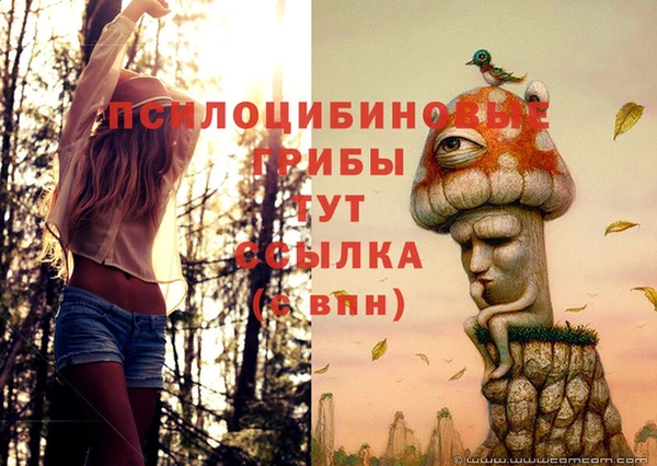ПСИЛОЦИБИНОВЫЕ ГРИБЫ Навашино