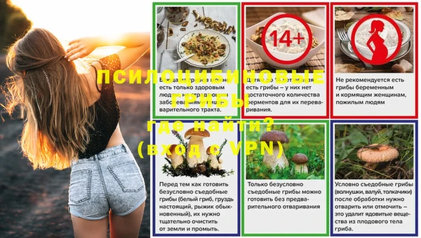 соль ск Балахна