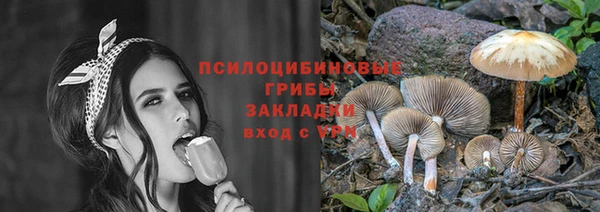соль ск Балахна
