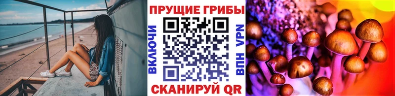Галлюциногенные грибы GOLDEN TEACHER  где можно купить   Новокубанск 